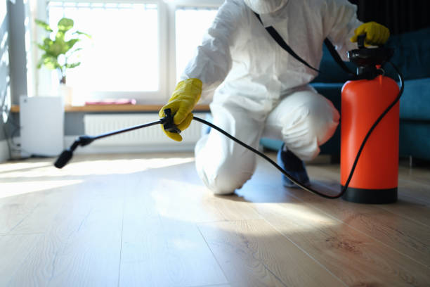 Reliable Odor Removal contractor in Centralia, WA by Trauma Clean Pros